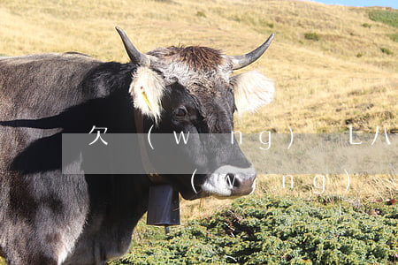欠網(wǎng)貸七八萬(wàn)算大額嗎(網(wǎng)貸欠了8萬(wàn)多怎么辦)