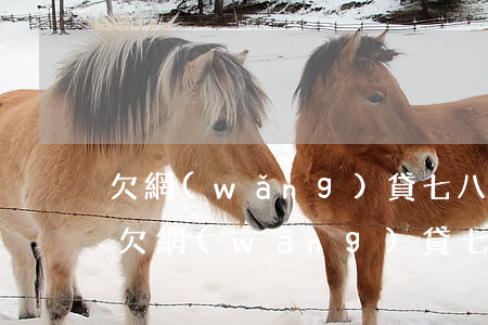 欠網(wǎng)貸七八萬還不上怎么辦-欠網(wǎng)貸七八萬還不上怎么辦呢