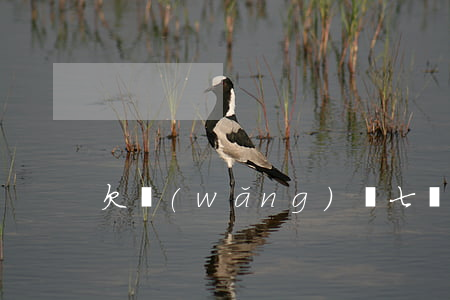 欠網(wǎng)貸七萬要跟家里坦白嗎