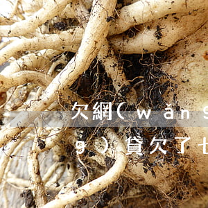 欠網(wǎng)貸七萬還不上(網(wǎng)貸欠了七萬多還不上有什么后果)
