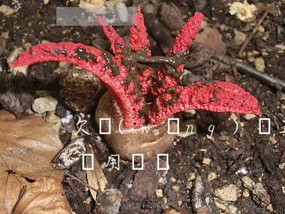 欠網(wǎng)貸三十萬進(jìn)去還用還嗎