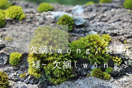 欠網(wǎng)貸三千塊逾期兩年會怎么樣-欠網(wǎng)貸三千塊逾期兩年會怎么樣嗎
