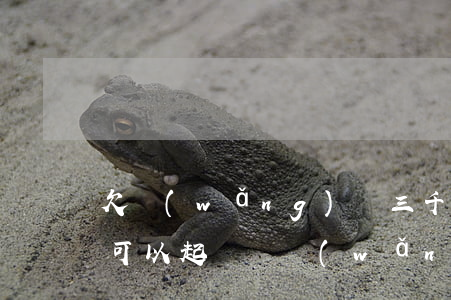 欠網(wǎng)貸三千塊錢(qián)可以起訴嗎(網(wǎng)貸欠三千塊錢(qián)法院立案嗎)