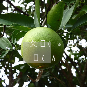 欠網(wǎng)貸三千塊錢(qián)會(huì)被坐牢嗎(網(wǎng)貸欠了3萬(wàn)怎么辦會(huì)坐牢嗎)