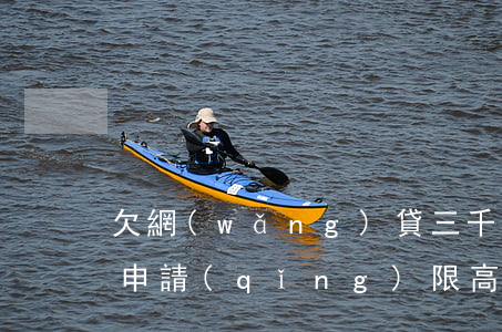欠網(wǎng)貸三千多會(huì)被申請(qǐng)限高令嗎(網(wǎng)貸欠三千不還會(huì)坐牢嗎)