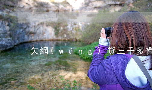 欠網(wǎng)貸三千多會起訴嗎