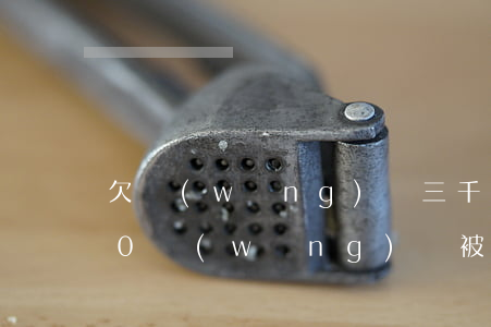 欠網(wǎng)貸三千法院立案(欠3000網(wǎng)貸被法院起訴)