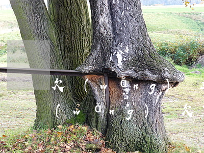 欠網(wǎng)貸三年不還就不要還了(網(wǎng)貸欠了三年了要還么)
