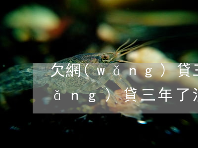 欠網(wǎng)貸三年了沒人找(欠網(wǎng)貸三年了沒人找)