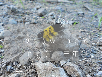 欠網(wǎng)貸三年半沒還(欠網(wǎng)貸三年半沒還)
