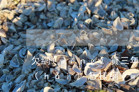 欠網(wǎng)貸三年沒(méi)還會(huì)怎樣(網(wǎng)貸3年多沒(méi)還)