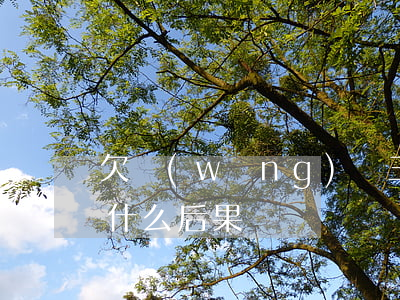 欠網(wǎng)貸三年沒(méi)還有什么后果