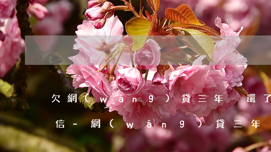 欠網(wǎng)貸三年沒還了偶爾還有短信-網(wǎng)貸三年沒有還今天又聯(lián)系我