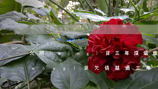 欠網(wǎng)貸三年沒還會起訴嗎(網(wǎng)貸欠債超過三年了還能起訴嗎)