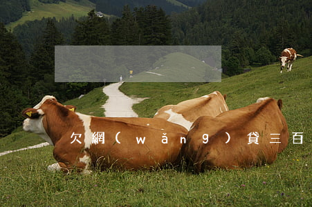 欠網(wǎng)貸三百塊上征信嗎