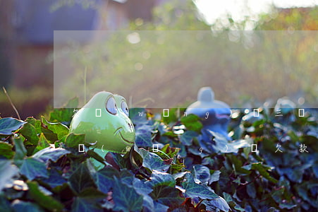 欠網(wǎng)貸三萬(wàn)還不上(網(wǎng)貸欠款3萬(wàn)多不還會(huì)怎么樣)