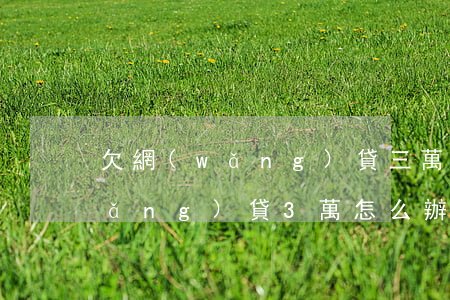 欠網(wǎng)貸三萬塊怎么辦(欠網(wǎng)貸3萬怎么辦)