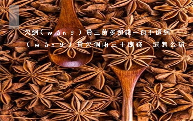 欠網(wǎng)貸三萬多塊錢一直不還(網(wǎng)貸欠個兩三千塊錢沒還怎么辦)