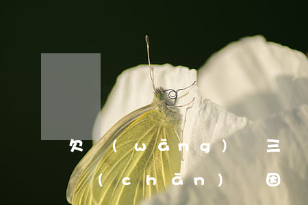 欠網(wǎng)貸三萬多會被起訴查封房產(chǎn)嗎(因為網(wǎng)貸查封了房產(chǎn))