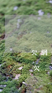 欠網(wǎng)貸三萬多還不上該怎么辦(欠三萬網(wǎng)貸還不起怎么辦)