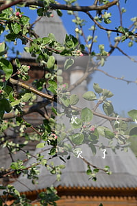 欠網(wǎng)貸三萬無力償還怎么處理(欠了幾千塊網(wǎng)貸無力償還怎么辦)