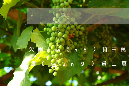 欠網(wǎng)貸三萬無力償還怎么辦(欠網(wǎng)貸三萬無力償還怎么辦)