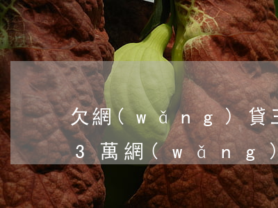 欠網(wǎng)貸三萬還不起怎么辦(欠了3萬網(wǎng)貸怎么辦)