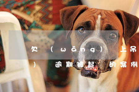 欠網(wǎng)貸上吊案例(網(wǎng)貸逾期被起訴的案例)