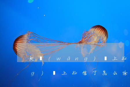欠網(wǎng)貸上征信了(欠網(wǎng)貸上征信了怎么除去)