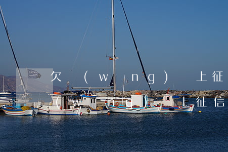 欠網(wǎng)貸上征信怎么處理(由于網(wǎng)貸上征信該怎么辦)