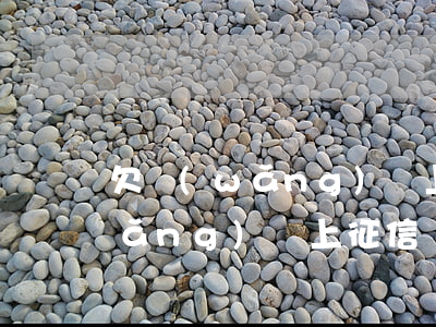 欠網(wǎng)貸上征信怎么還(欠網(wǎng)貸上征信嗎)