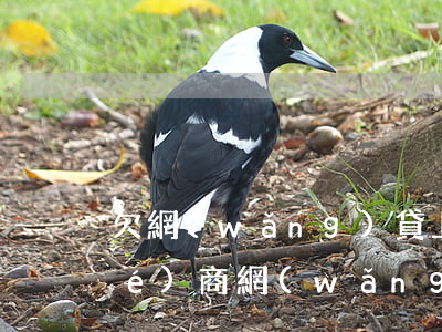 欠網(wǎng)貸上征信的怎么協(xié)商(網(wǎng)貸逾期上征信可以協(xié)商刪除嗎)