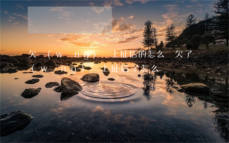 欠網(wǎng)貸上征信的怎么辦(欠了網(wǎng)貸上征信了怎么辦)