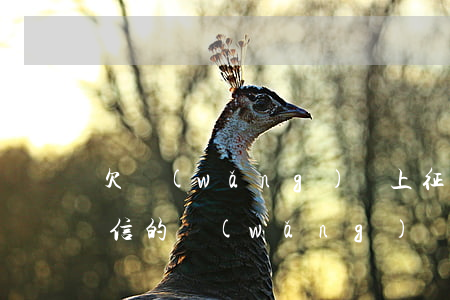 欠網(wǎng)貸上征信能買房嗎(沒上征信的網(wǎng)貸逾期影響買房嗎)