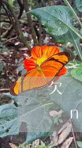 欠網(wǎng)貸上征信黑名單嗎(網(wǎng)貸欠款上征信就是黑名單了嗎)