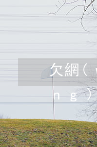 欠網(wǎng)貸上法院怎么找(網(wǎng)貸欠款起訴到法院要還多少)
