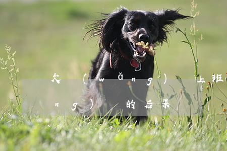 欠網(wǎng)貸上班后果(拖欠網(wǎng)貸的后果)