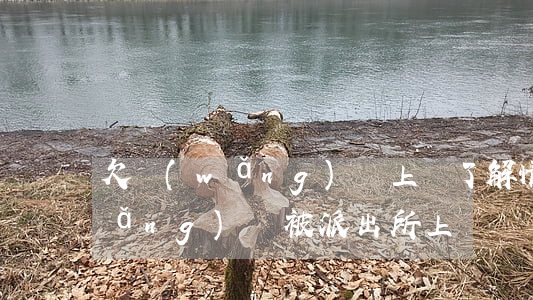欠網(wǎng)貸上門了解情況(欠網(wǎng)貸被派出所上門)