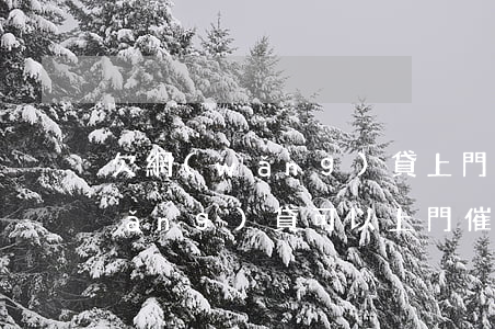 欠網(wǎng)貸上門催收怎么包(網(wǎng)貸可以上門催收欠款嗎)