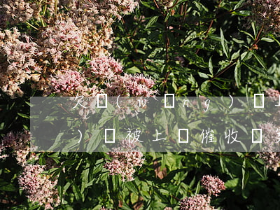 欠網(wǎng)貸上門被打 網(wǎng)貸被上門催收報案有用嗎