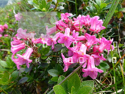 欠網(wǎng)貸上門調(diào)查我合法嗎(網(wǎng)貸上門調(diào)查是真的嗎)