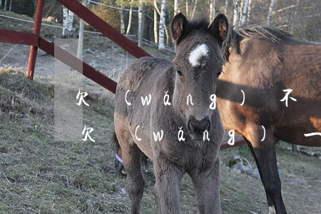 欠網(wǎng)貸不丟人不還才丟人(有人欠網(wǎng)貸一輩子不還的嗎)