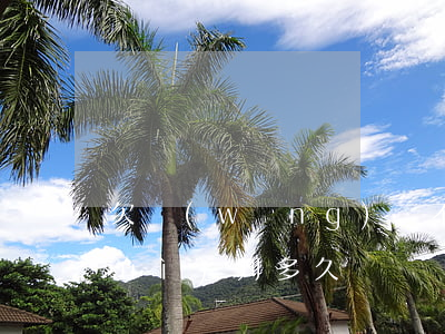 欠網(wǎng)貸不到20000會(huì)判多久