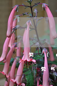 欠網(wǎng)貸不到5000會被起訴嗎(欠5000網(wǎng)貸會被起訴么)