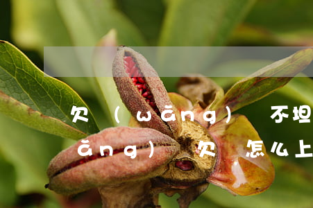 欠網(wǎng)貸不坦白怎么上岸(網(wǎng)貸欠錢怎么上岸)