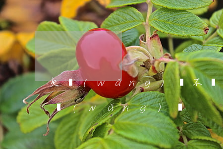 欠網(wǎng)貸不夠一千封我卡(我欠了網(wǎng)貸)