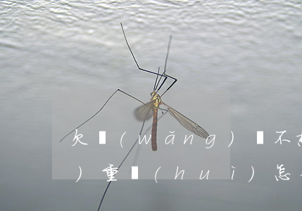 欠網(wǎng)貸不想還了最嚴(yán)重會(huì)怎么樣-欠網(wǎng)貸不想還了最嚴(yán)重會(huì)怎么樣呢