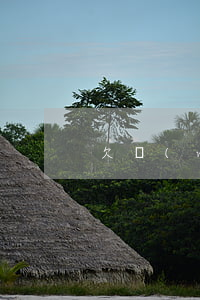 欠網(wǎng)貸不換微信