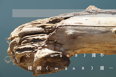 欠網(wǎng)貸不換會(huì)怎么樣(網(wǎng)貸一直不換會(huì)怎么樣)