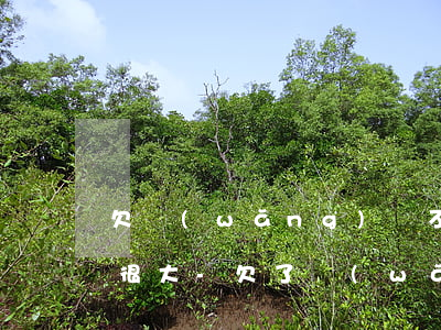 欠網(wǎng)貸不敢告訴家里心理壓力很大-欠了網(wǎng)貸不敢告訴家里